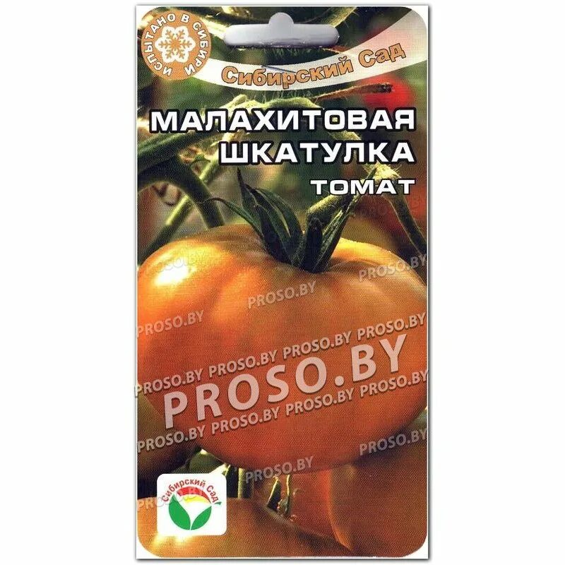 Томат малахитовая шкатулка. Томат малахитовая шкатулка сибирский сад. Урожайность томата малахитовая шкатулка. Урожайность томата малахитовая шкатулка. Томат малахитовая шкатулка формирование куста.