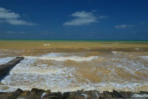 Балтийское море желтое