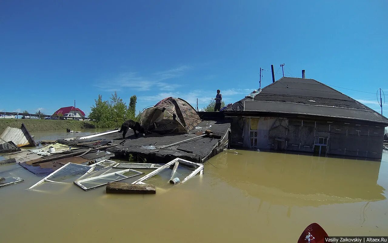 Наводнение горно алтайск 2014. Посёлок красное приморско-куйский сельсовет. Наводнение катунь 2014. Наводнение 2014. Наводнение в горном алтае 2014.