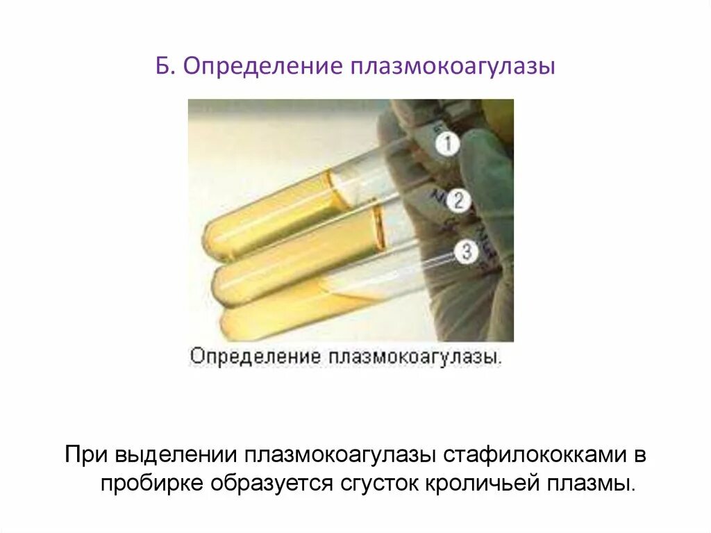 Как определить наличие