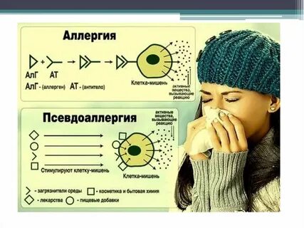 Аллергия отличия
