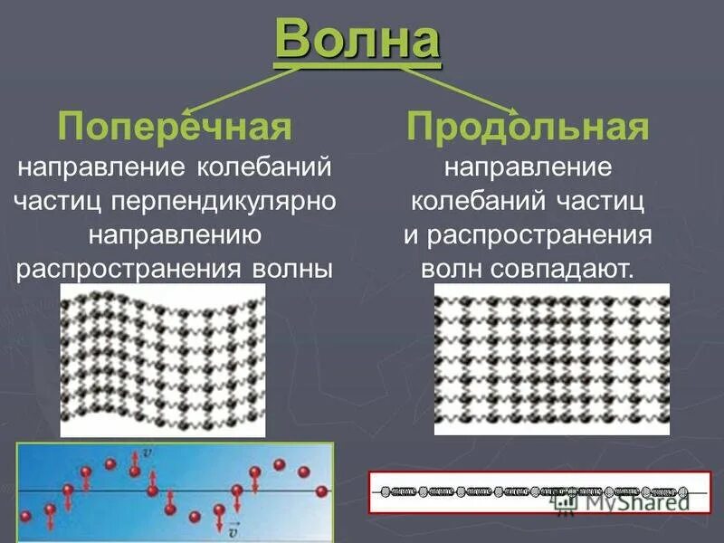 Приведите примеры продольных волн. Продольные и поперечные волны. Пролольные и поперечный волны. Продоллные и попереяные волеы. Поперечная волна и продольная волна.