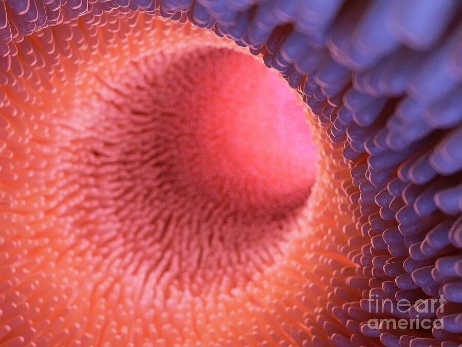 Оплодотворение женщины. Закрытый глаз мужской. Процесс крупным планом. Ворсинки кишечника под микроскопом. Волосы макро.