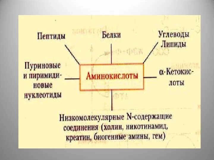 Какие функции белков жиров и углеводов. Белки липиды углеводы. Углеводы липиды белки таблица. Липиды жиры углеводы белки. Липиды белки углеводы функции.