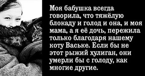Бабушка всегда говорила