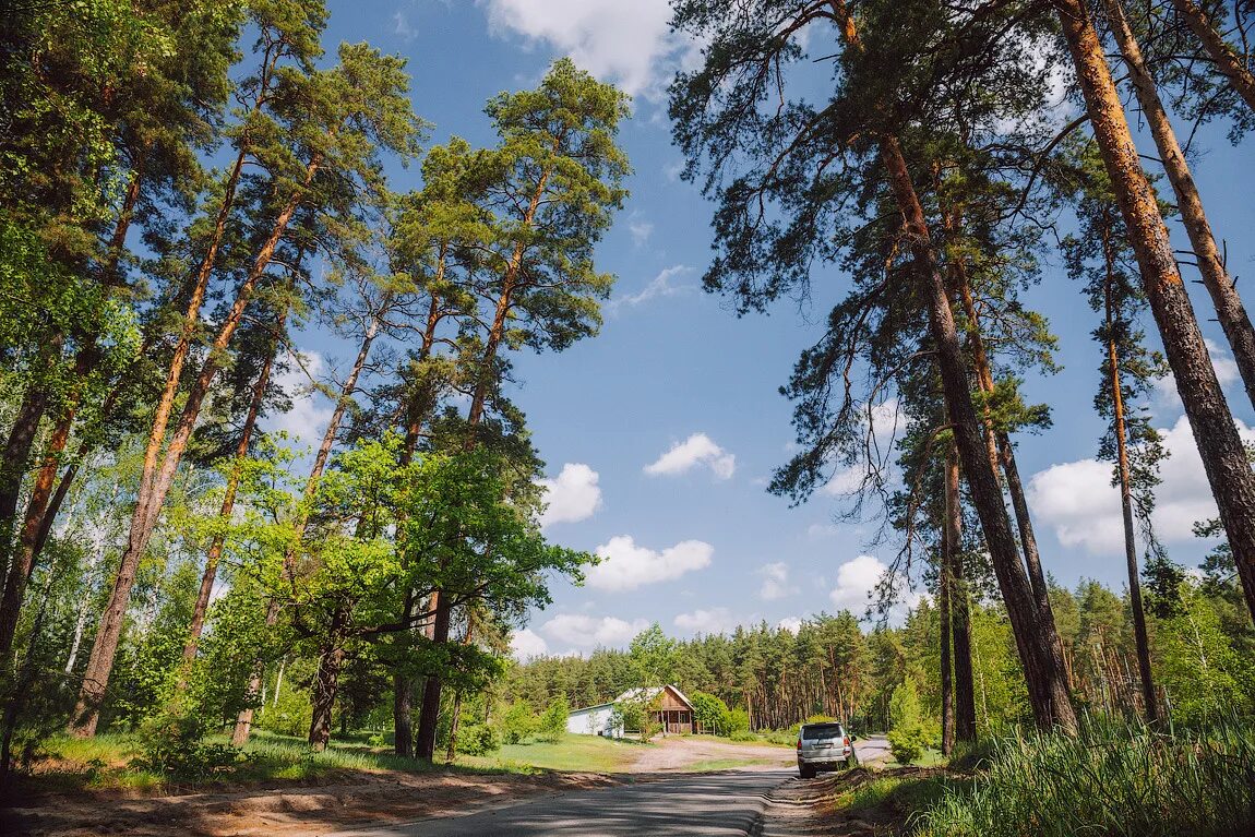 Кожевенный кардон воронеж. Кордон кожевенный воронежская область. Усманка река кожевенный кордон воронеж. Пляж на кожевенном кордоне воронеж. Кожевенный кордон воронеж.