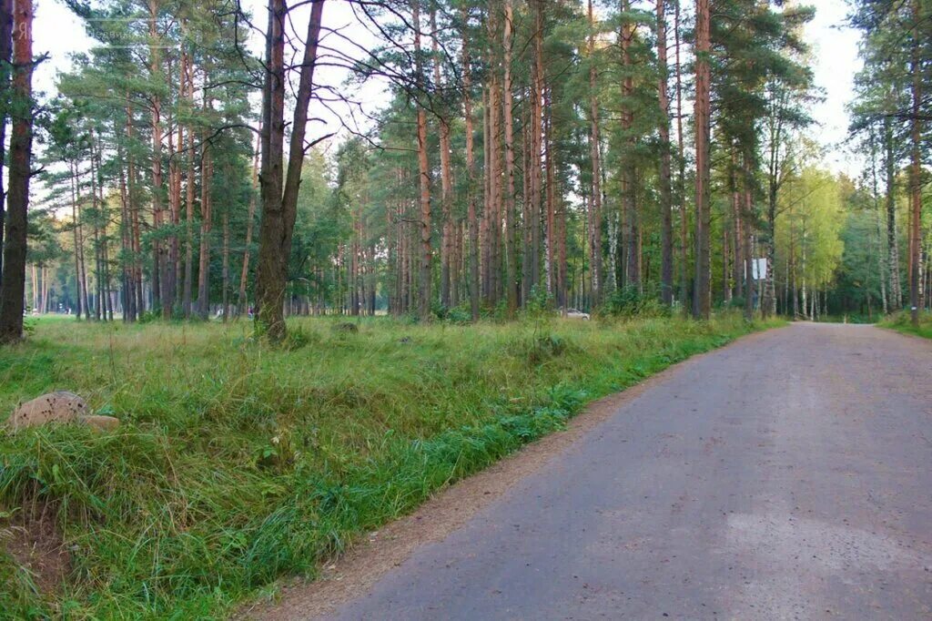 коттеджный поселок коркино ленинградской области-. коркинское озеро, деревня коркино. коркино всеволожский р н. коркинское озеро зимой. коттеджный поселок коркино ленинградской области-.