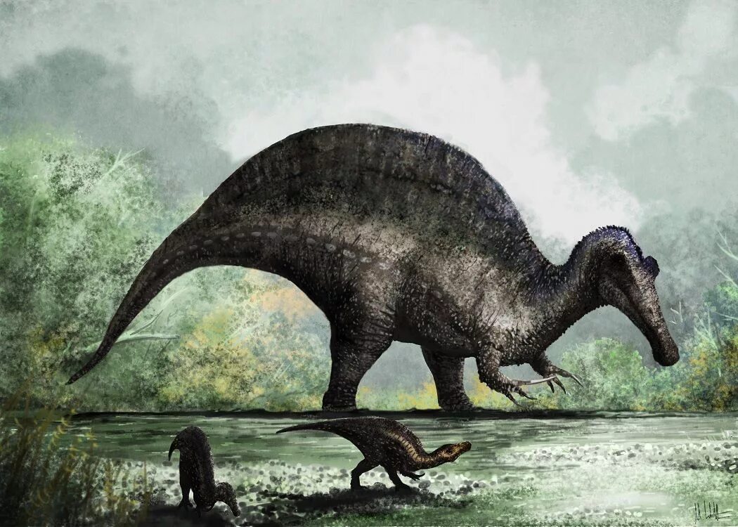The isle спинозавр. Spinosaurus maroccanus. Спинозавр the Isle. Динозавр Спинозавр. Спинозавр горбатый.
