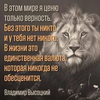 Тема высоко ценится