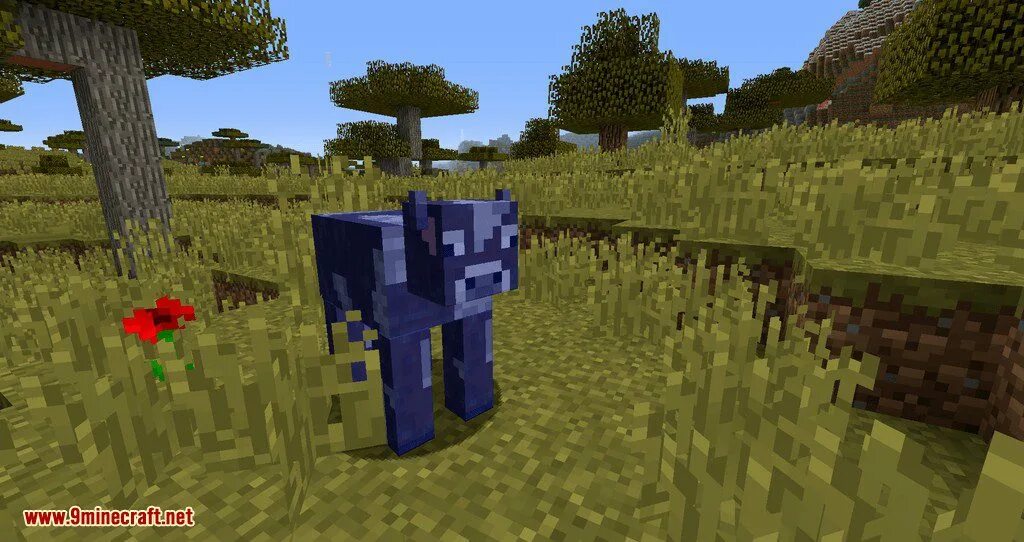 Fluids mod