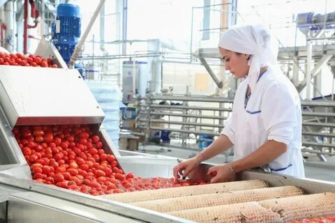 Предприятия перерабатывающие сельскохозяйственную продукцию