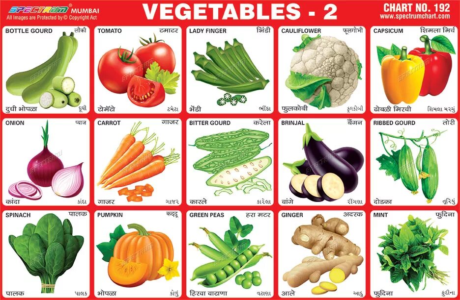 Wordwall vegetables. Фрукты и овощи Flashcards. Овощи на английском. Овощи на английском карточки. Плакат овощи и фрукты для магазина.