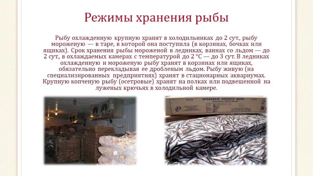 При заготовке рыбы на длительное хранение ее. Сроки хранения обработанной рыбы. хранение рыбной продукции. условия и сроки хранения обработанной рыбы. правила хранения мороженной рыбы.
