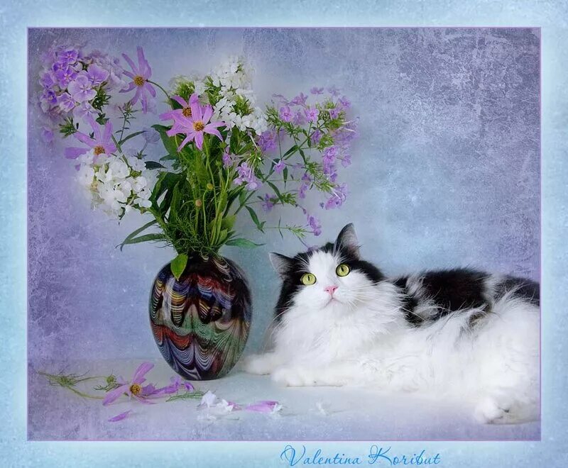 1 день весны и день кошек картинки. Цветы натюрморт кот. День кошек. Кошка с цветами.