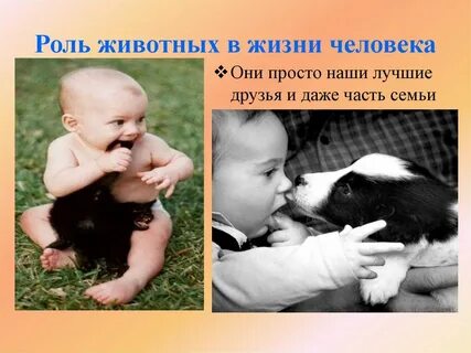 Звери роль