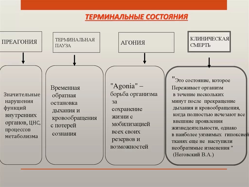 Виды терминальных состояний. Причины термальных состояний. Стадии терминального состояния. Понятие о терминальных состояниях
