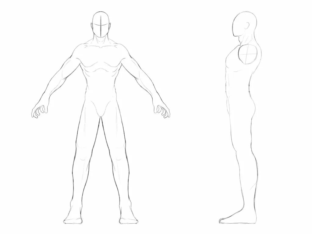Нарисовать человека в полный рост карандашом. Рисунок человека в полный рост. Эскиз тела человека. Человек карандашом в полный рост. Чертеж человека в полный рост.