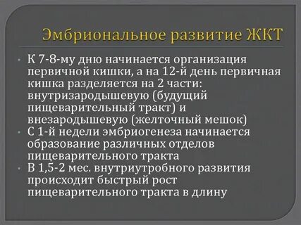 Развитие желудка