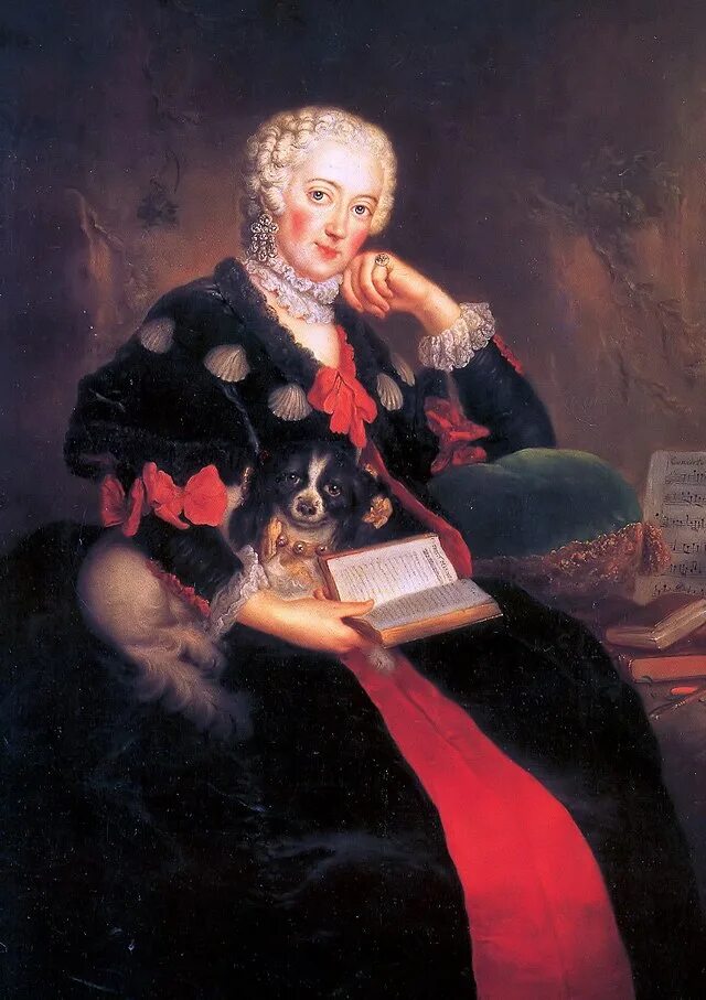 Вильгельмина прусская (1774-1837). Кенингин королева вильгельмина. Вильгельмины прусской. Фридерика вильгельмина прусская. Портрет королевы вильгельмины.
