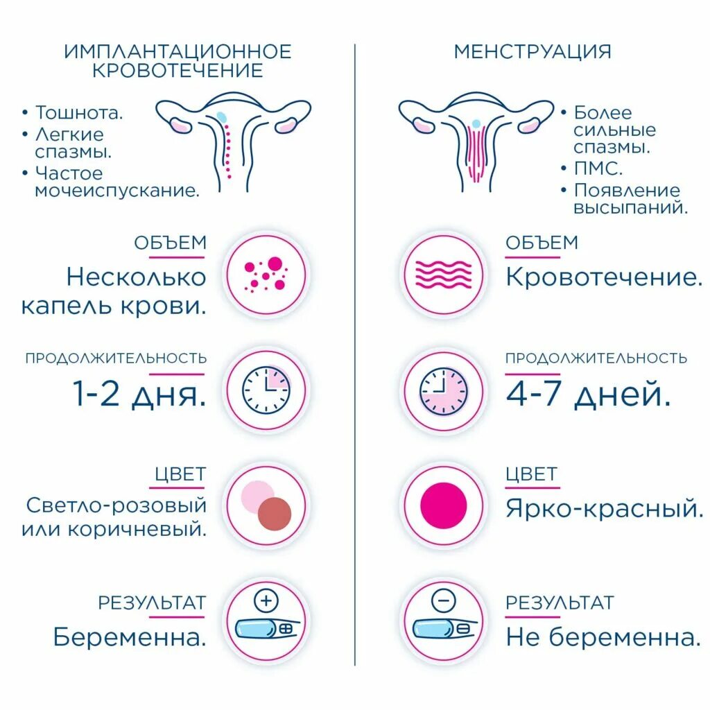 Через сколько дней прикрепляется