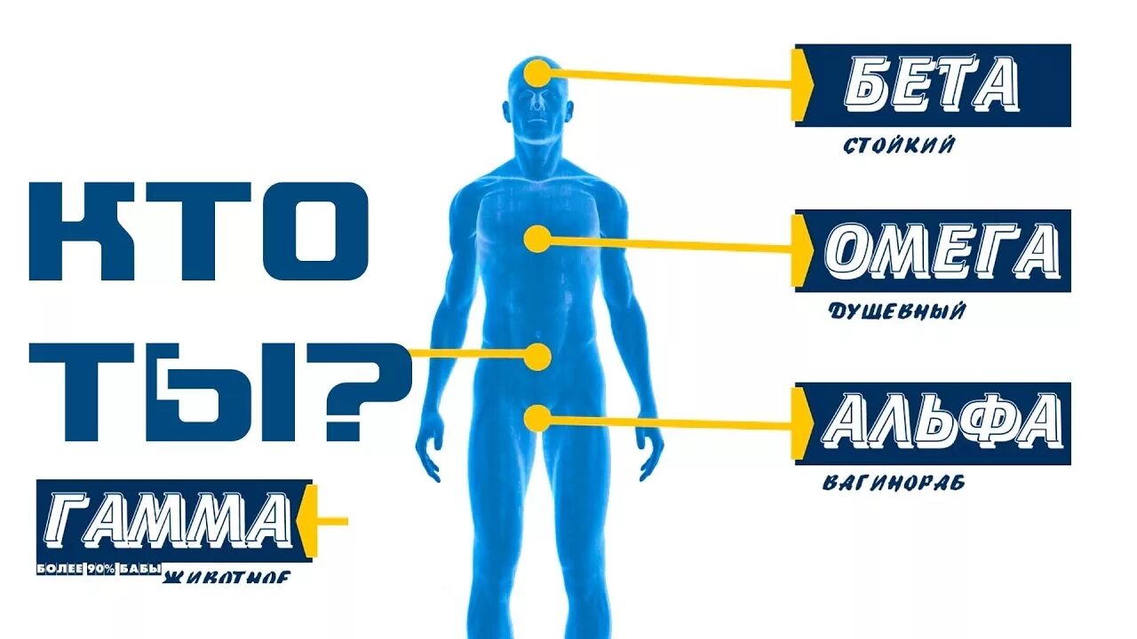 Мужчины Альфа бета гамма Омега. Альфа бета гамма Дельта Омега Сигма самцы. Альфа бета и Омега самцы. Типы личности Альфа бета гамма Омега. Реальная сигма
