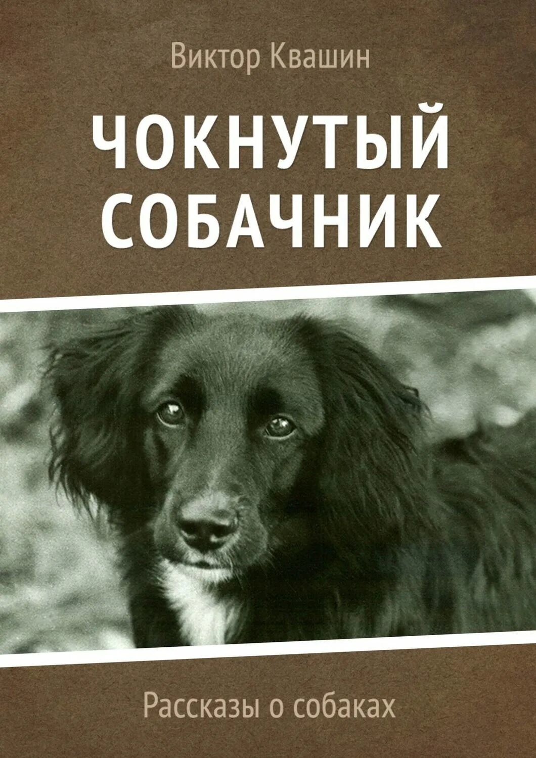 История собак книги. Книги про собак. Книги о собаках Художественные. Рассказ о собаке. Рассказ собаки книга.