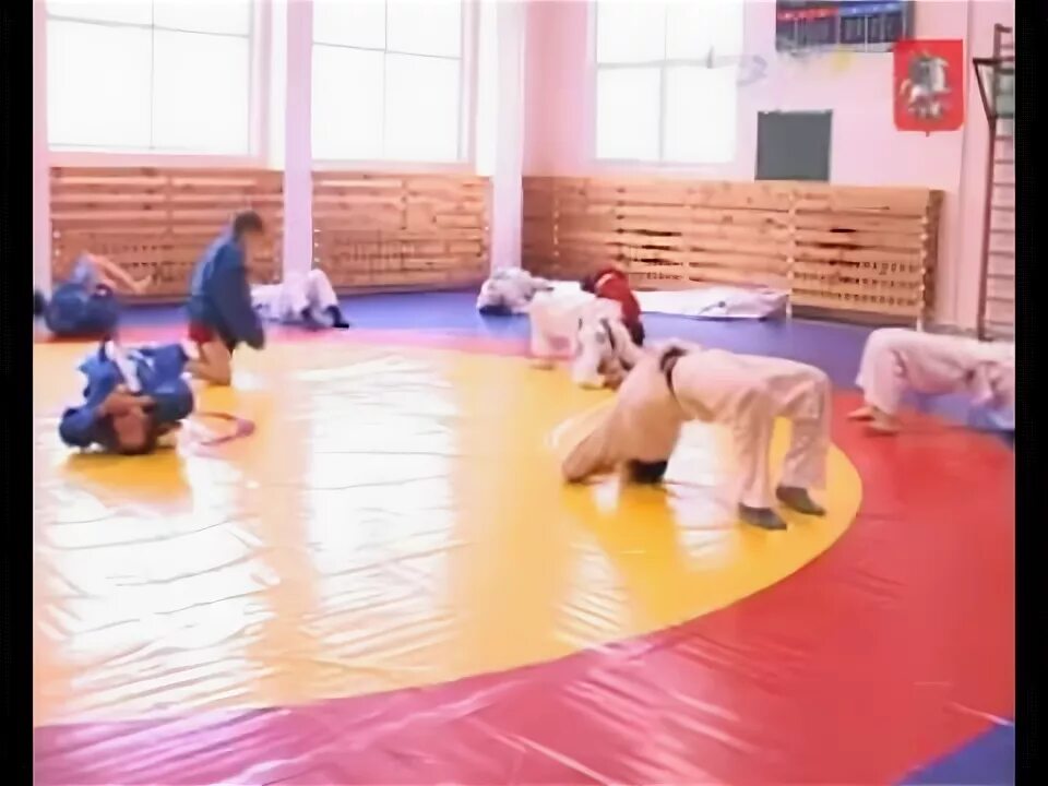 В спортивной школе открылась секция. Дзюдо борец Новопеределкино. ДЮСШ борец в Солнцево. Боевое самбо школа борец Новопеределкино. Борец СШ 96.