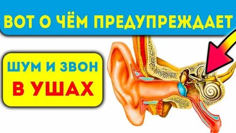 Почему шум в одном ухе