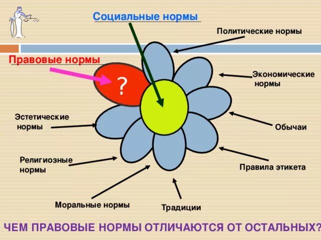 Социальные нормы схема Ромашка. Виды социальных норм. Эстетические нормы. Эстетические социальные нормы. Какой вид социальных норм иллюстрирует изображение