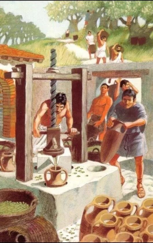 Что такое латифундия в истории 5 класс