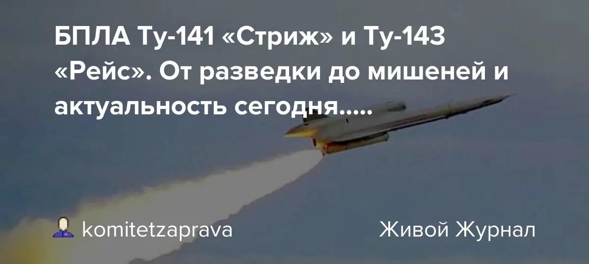 Ту-141 Стриж БПЛА ту 141 Стриж. БПЛА Стриж ту-141 ТТХ. Беспилотник ту 143 Стриж характеристики. БПЛА рейс ту 143. Стриж 141 беспилотник характеристики