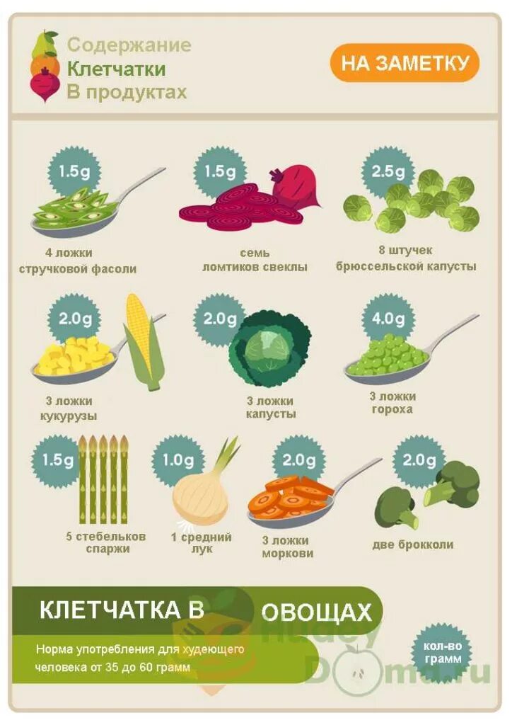 В каких продуктах есть клетчатка список. Продукты с высоким содержанием волокон клетчатки. Овощи и фрукты богатые клетчаткой таблица список. Продукты с высоким содержанием клетчатки. Пищевые волокна для кишечника в каких продуктах содержится таблица.