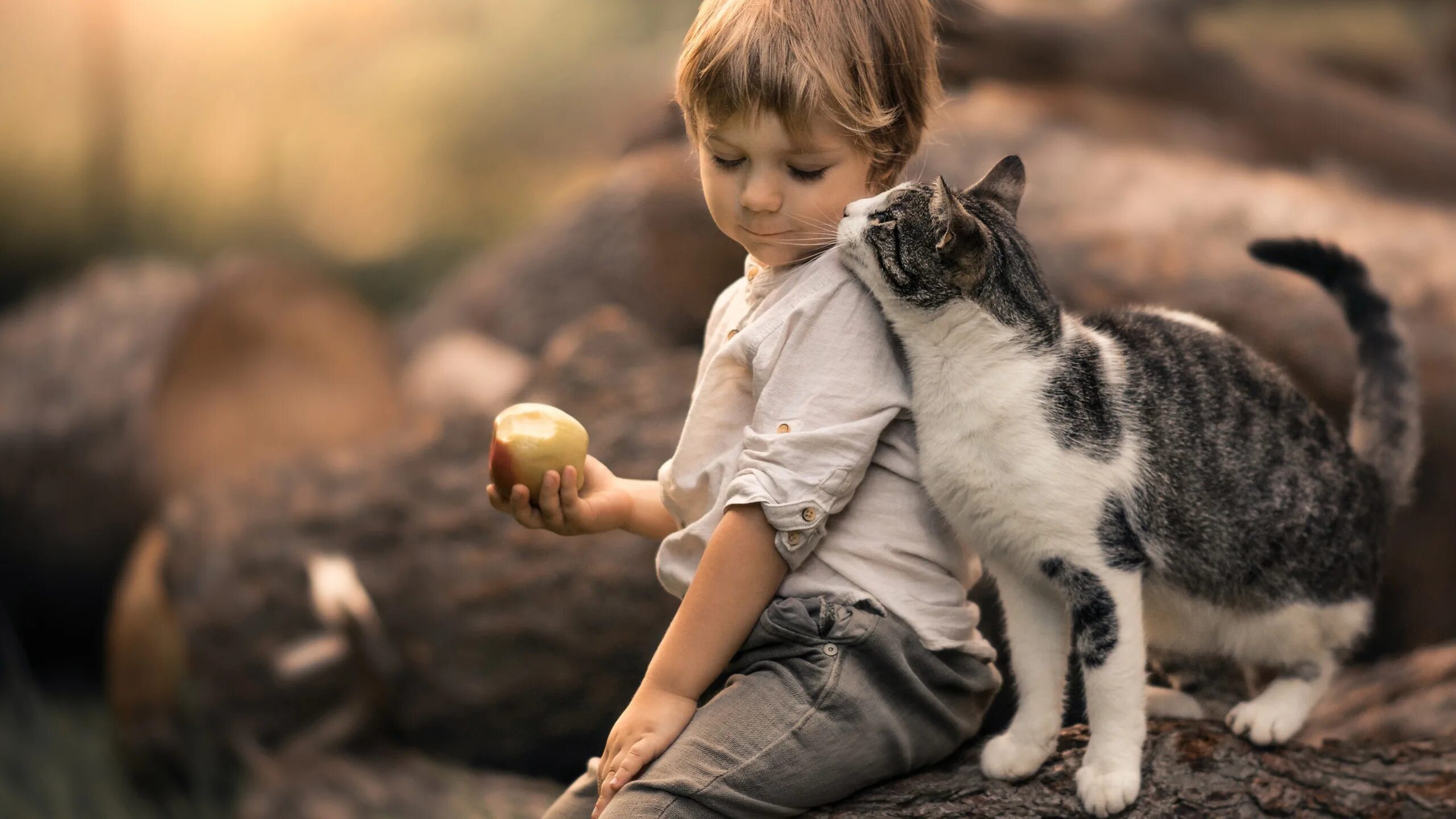 Котенок играет малыша. Для детей. Животные. Кошка для детей. Домашние животные и человек. Дети с животными.