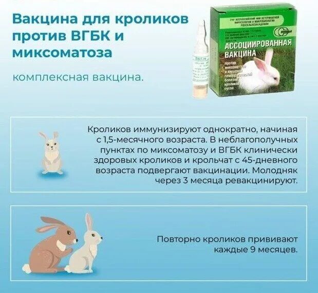 Вакцина для кроликов от миксоматоза и вгбк