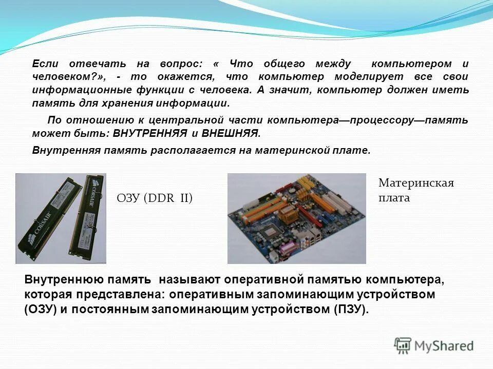 Что общего между полным. Что общего между компьютером и человеком. отношение память и компьютер. что общего между памятью человека и компьютера. какие отношения между памятью и компьютером.