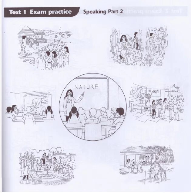 Cambridge Pet speaking 2021. Pet говорение карточки. Картинки Pet speaking. Speaking Practice иллюстрация.