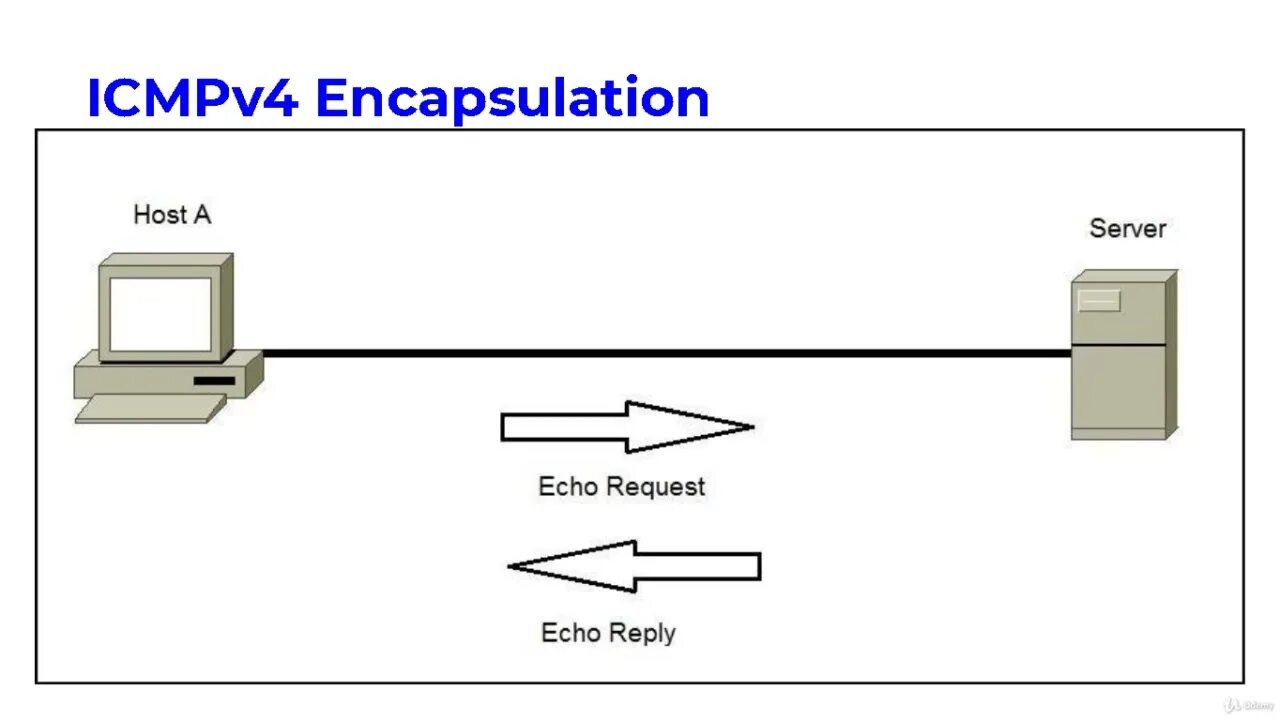 Echo reply
