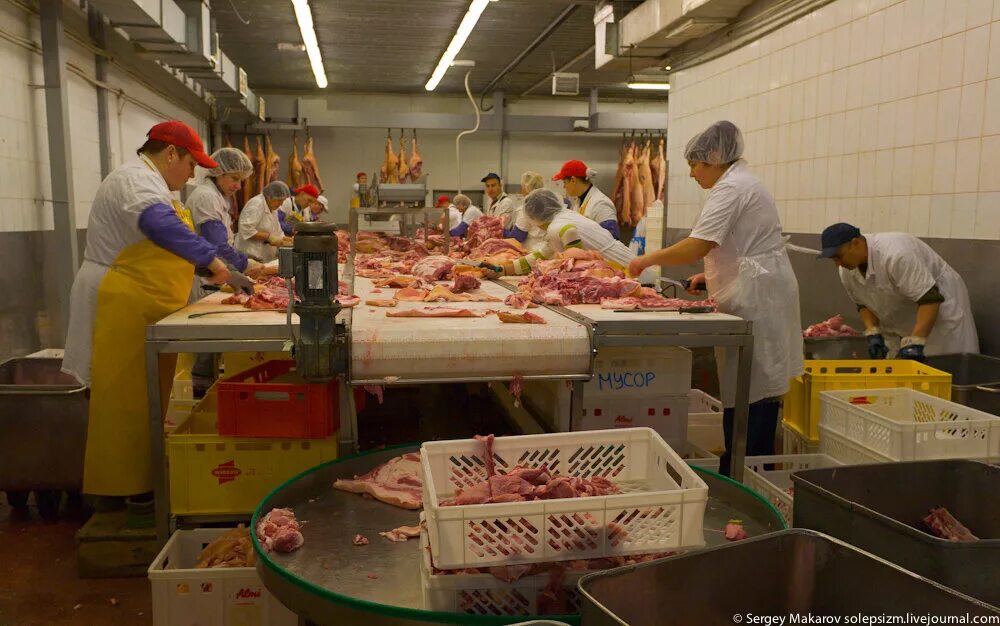 сортировка мяса