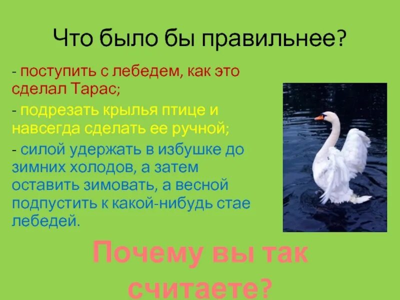 Д н мамин сибиряк приемыш 4 класс. Приемыш. презентация приемыш. д мамин-сибиряк приёмыш. приёмыш мамин сибиряк презентация 4 класс.