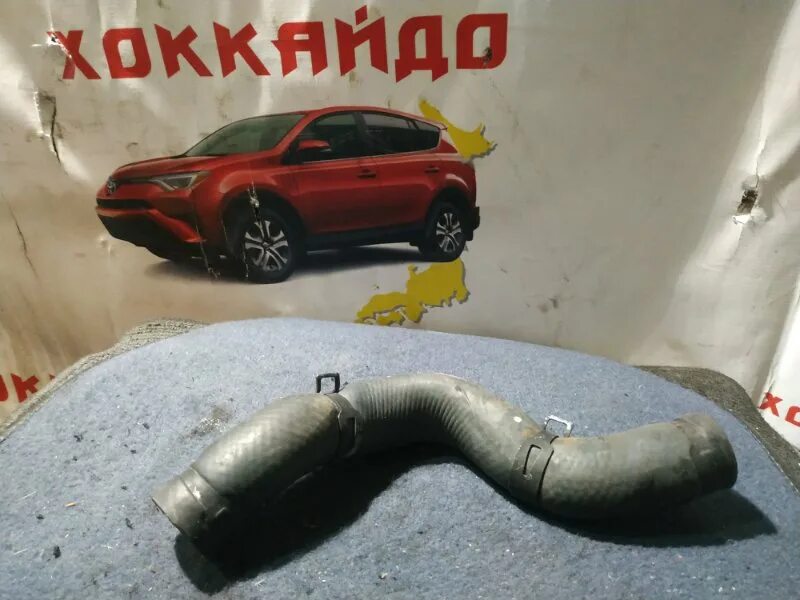 Патрубок тойота таун айс. Патрубки охлаждения тойота витц. 1zz-fe верхний патрубок радиатора. Патрубок тойота таун айс. Патрубок радиатор ипсум 10.