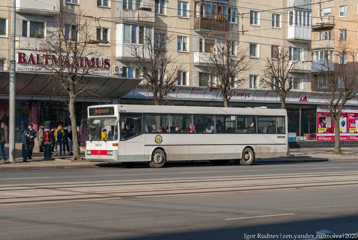 Автобусы таганрога. Автобус 489 видное. 489 автобус. Маз-206 автобус. Остановки 489 автобуса видное.
