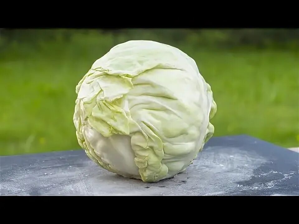 Капуста 2