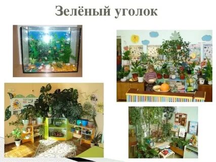 Создание в кабинете предметно развивающей среды