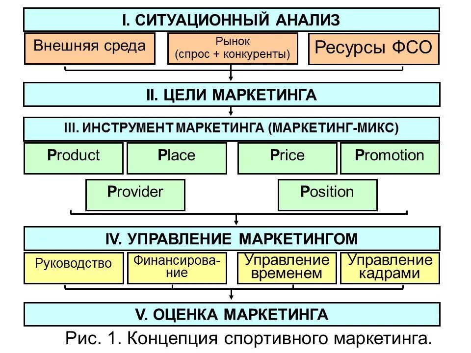 Анализ спортивной организации