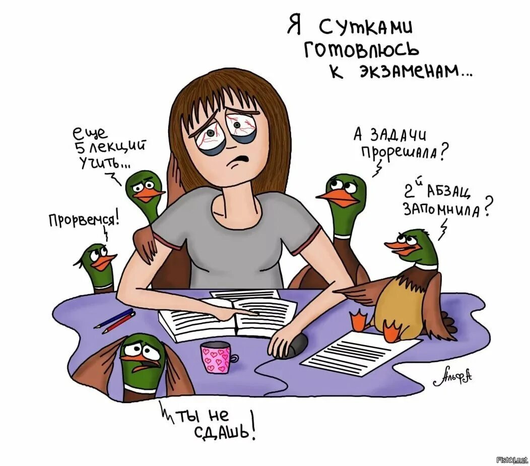 Смешные студенческие