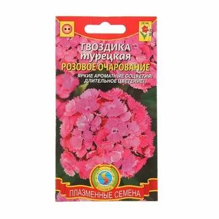 Семена гвоздики