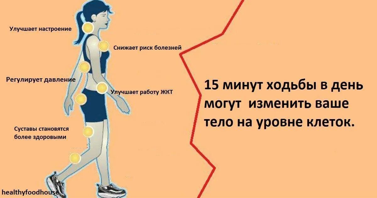 Минута шагать. Пешие прогулки полезны для здоровья. Польза ходьбы. Ходьба каждый день. Человек при ходьбе.