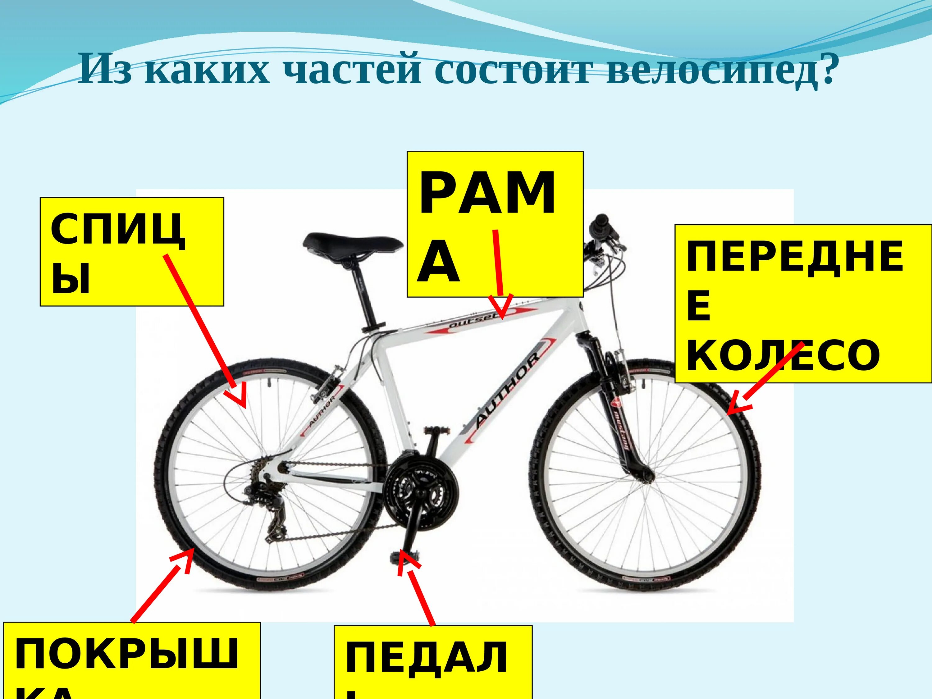 Когда изобрели велосипед 1 класс. Окружающий мир велосипед. презентация про велосипед 1 класс окружающий мир. велосипед для окружающего мира 1 класс. велосипеда для 1 класса по окружающему миру.