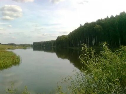 Збк орел