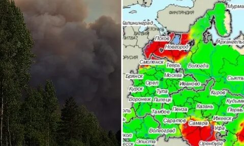 Прогноз лесной свердловская область